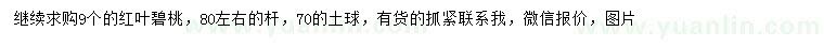 求購9公分紅葉碧桃