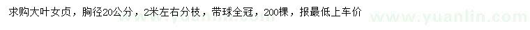 求購胸徑20公分大葉女貞