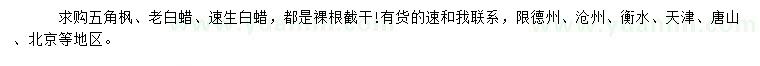 求購五角楓、老白蠟、速生白蠟