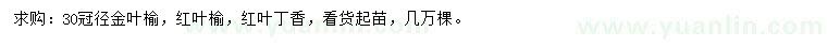 求購金葉榆、紅葉榆、紅葉丁香等