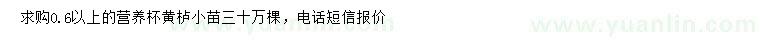 求購0.6公分以上黃櫨小苗
