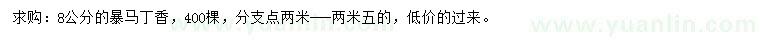 求購8公分暴馬丁香