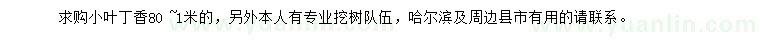 求購(gòu)80-100公分小葉丁香