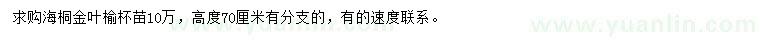 求購(gòu)高70公分海桐金葉榆