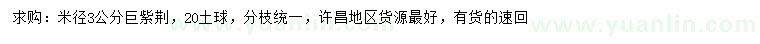 求購米徑3公分巨紫荊