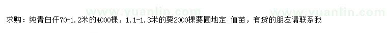 求購70-120、110-130公分純青白仟