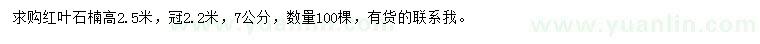 求購7公分紅葉石楠