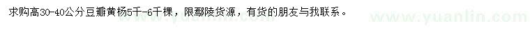 求購高30-40公分豆瓣黃楊