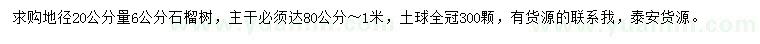 求購(gòu)地徑20公分量6公分石榴樹(shù)