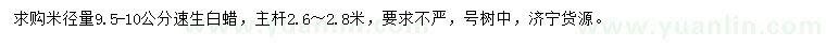求購米徑量9.5-10公分速生白蠟