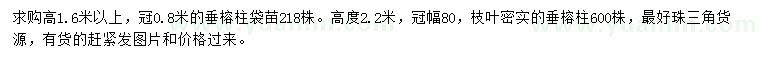 求購高1.6米以上、2.2米垂榕柱