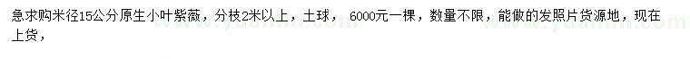 求購(gòu)米徑15公分原生小葉紫薇
