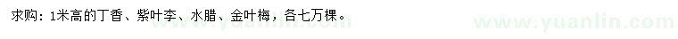 求購(gòu)丁香、紫葉李、水臘等