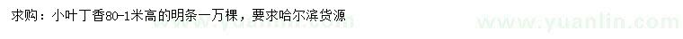 求購(gòu)高80-100公分小葉丁香