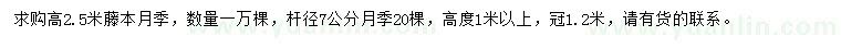 求購(gòu)高2.5米藤本月季、桿徑7公分月季