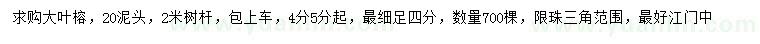 求購4、5公分起大葉榕