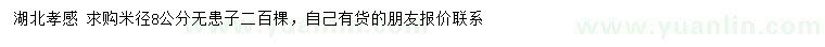 求購米徑8公分無患子