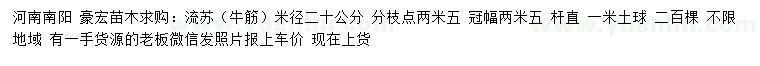 求購米徑20公分流蘇（牛筋）