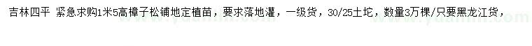 求購高1.5米樟子松