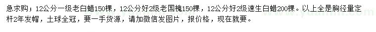 求購(gòu)老白蠟、老國(guó)槐、速生白蠟