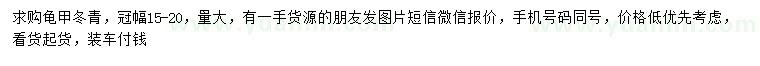 求購(gòu)冠幅15-20公分龜甲冬青