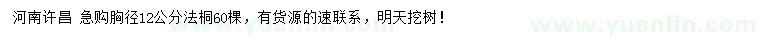 求購購胸徑12公分法桐