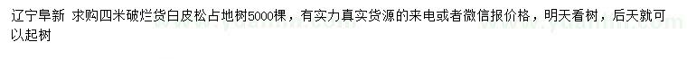 求購4米破白皮松