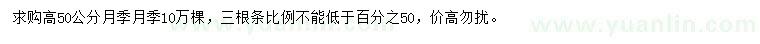 求購高50公分月季