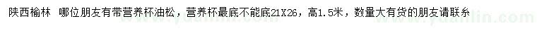 求購高1.5米油松