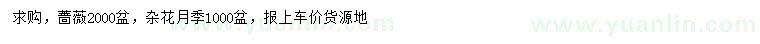 求購薔薇、雜花月季