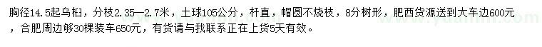 求購胸徑14.5起烏桕