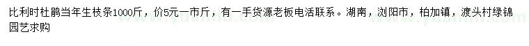 求購比利時杜鵑當(dāng)年生枝條