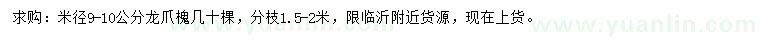 求購米徑9-10公分龍爪槐