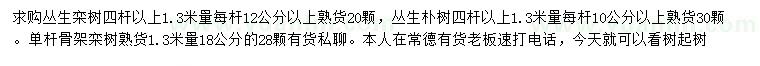 求購(gòu)叢生欒樹(shù)、叢生樸樹(shù)、單桿骨架欒樹(shù)