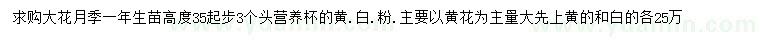 求購高35公分起步大花月季