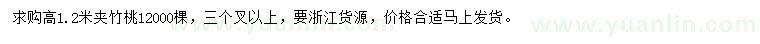 求購高1.2米夾竹桃