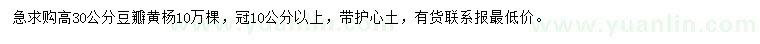 求購高30公分豆瓣黃楊