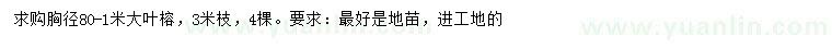 求購胸徑80-1米大葉榕