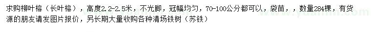 求購高2.2-2.5米柳葉榕（長葉榕）、鐵樹（蘇鐵）