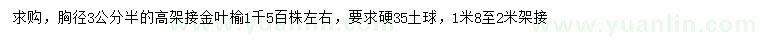 求購(gòu)胸徑3.5公分高嫁接金葉榆