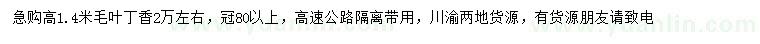 求購(gòu)高1.4米毛葉丁香