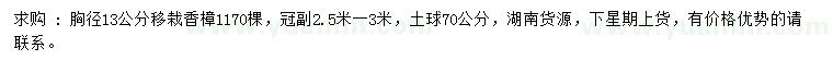 求購胸徑13公分移栽香樟