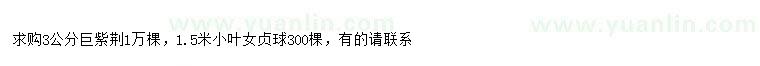 求購3公分巨紫荊