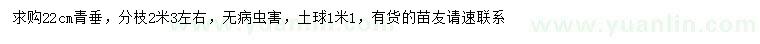 求購(gòu)22公分青垂