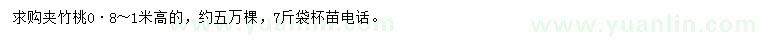 求購高0·8-1米夾竹桃