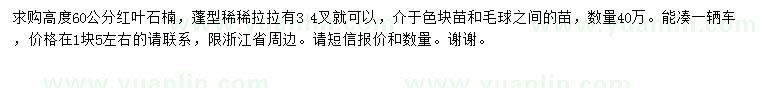 求購高度60公分紅葉石楠