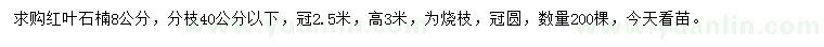 求購8公分紅葉石楠