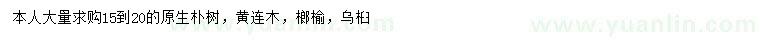 求購樸樹、烏桕、黃連木