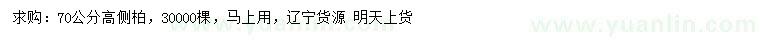 求購高70公分側(cè)柏