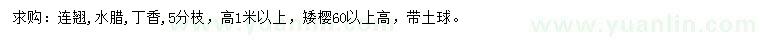求購連翹、水臘、丁香